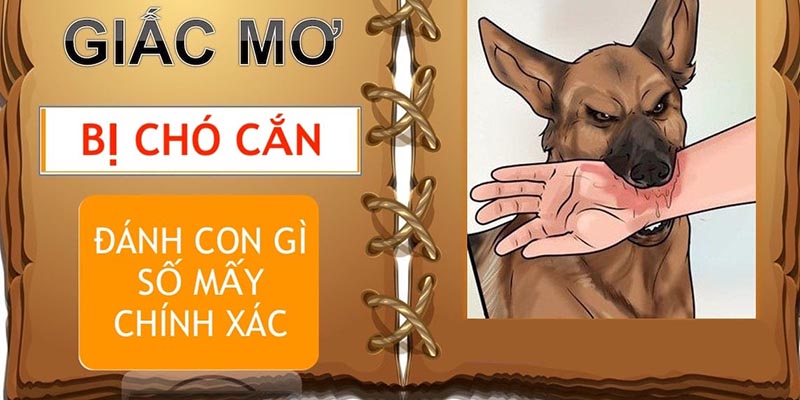 Nằm mơ thấy bị chó cắn