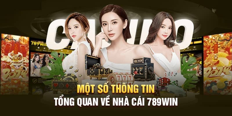 Giới thiệu tổng quát về nhà cái uy tín 789Win